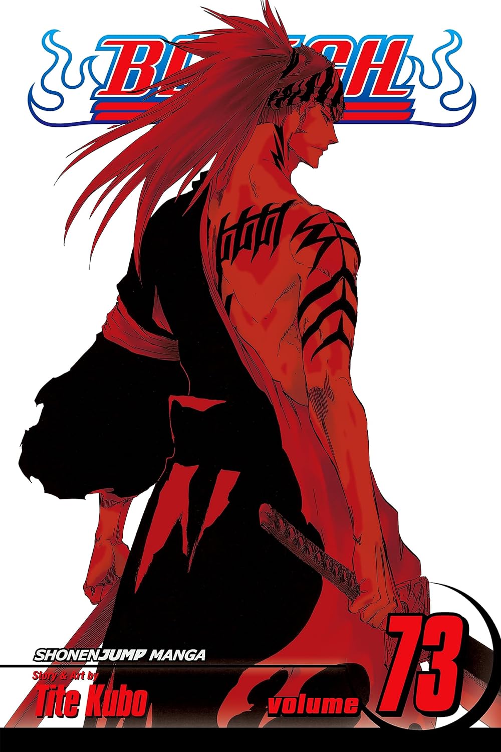 Bleach, Vol. 73 Old Photo