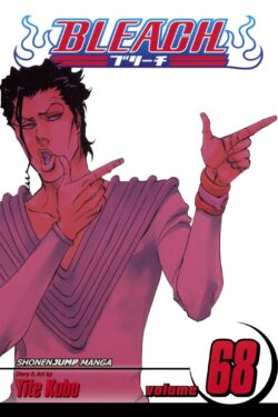 Bleach, Volume 68 Old Photo