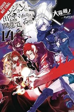 Is It Wrong to Try to Pick Up Girls in a Dungeon English Version Light Novel Vol. 14