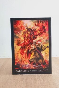 Overlord, Vol. 15 English version (light novel)