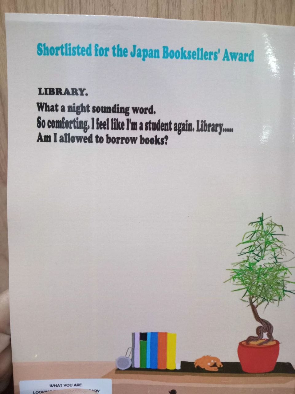 What You Are Looking For Is in the Library - Image 3
