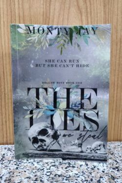 The Lies we Steal (The Hollow Boys Book 1)