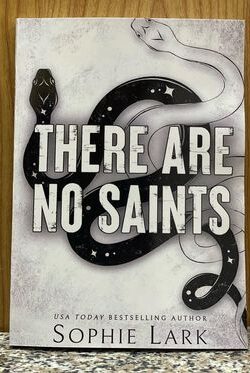 There Are No Saints  (Sinners Duet Book 1)