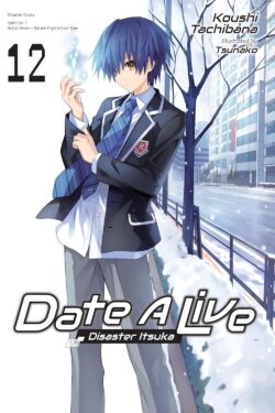 Date A Live Vol.12 (English Light Novel)