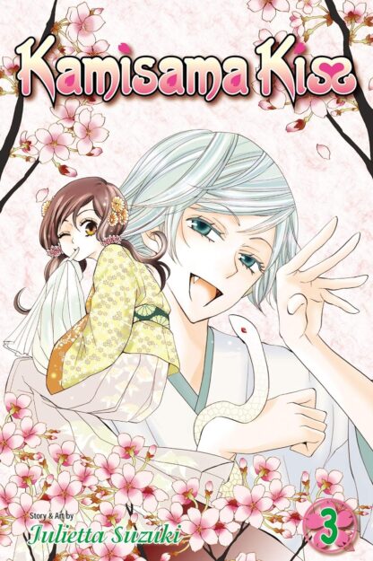 Kamisama Kiss English version manga volume 3 old photo