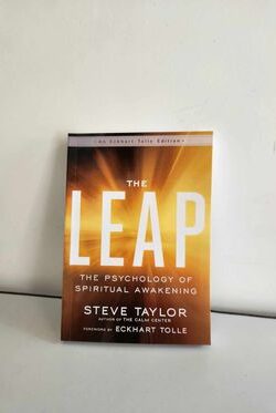 The Leap by Steve Taylor