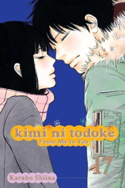 Kimi ni Todoke: From Me to You, Vol.17 (English Version Manga)