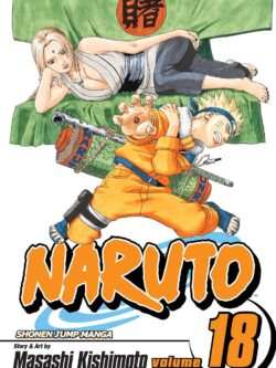 Naruto English Version Manga vol.18 Old Photo