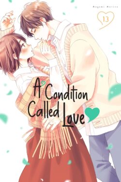 A Condition Called Love Vol.13 English Version Manga Old Photo