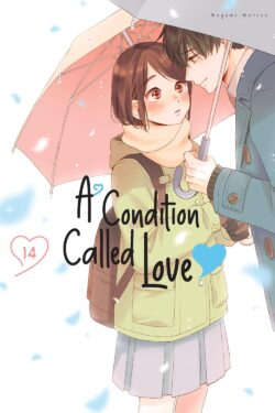 A Condition Called Love Vol.14 English Version Manga Old Photo