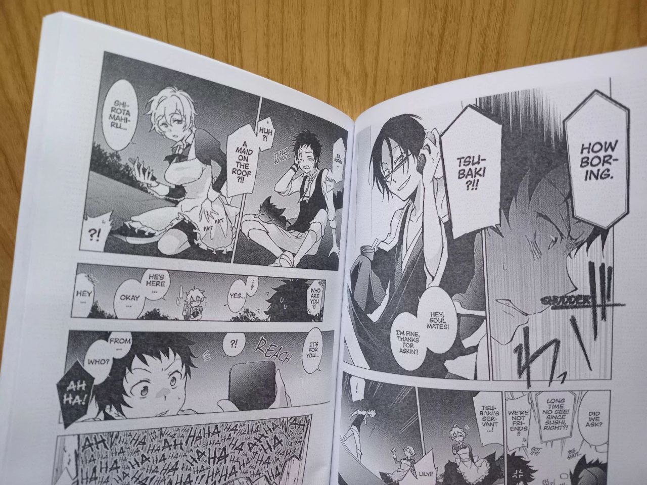 SerVamp Vol.4 English Version Manga - Image 2