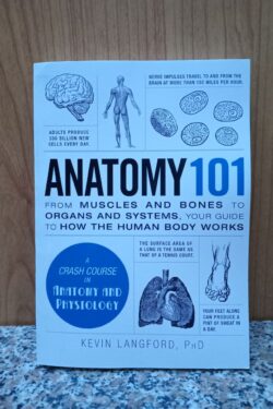 Anatomy 101