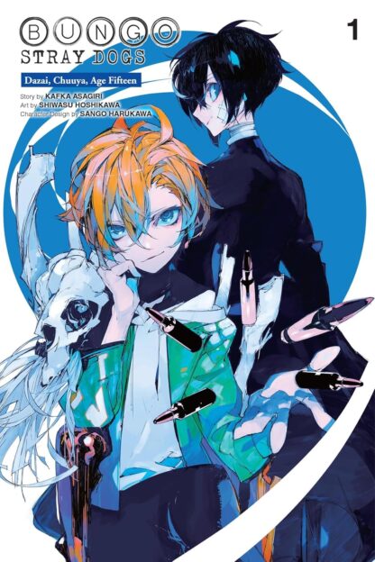 Bungo stray dogs dazai,chuuya, age fifteen vol 1 English version manga old photo