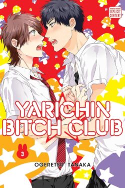 Yarichin Bitch Club vol.3 English Version Manga