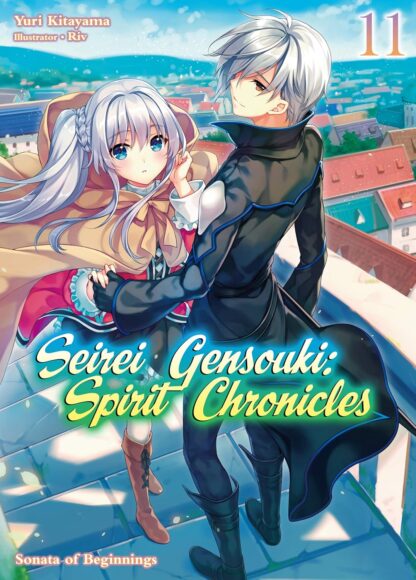 Seirei gensouki spirit chronicles vol.11 Light Novel old photo