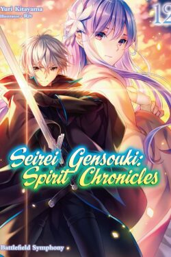 Seirei gensouki spirit chronicles vol.12 Light Novel old photo