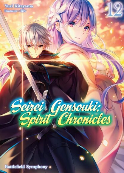 Seirei gensouki spirit chronicles vol.12 Light Novel old photo