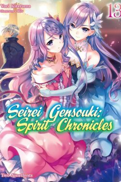 Seirei gensouki spirit chronicles vol.13 Light Novel old photo