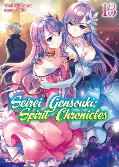 Seirei gensouki spirit chronicles vol.13 Light Novel old photo