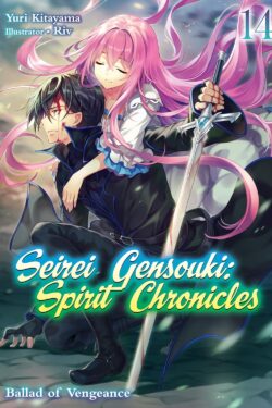 Seirei gensouki spirit chronicles vol.14 Light Novel old photo