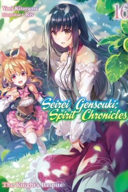 Seirei gensouki spirit chronicles vol.16 Light Novel old photo