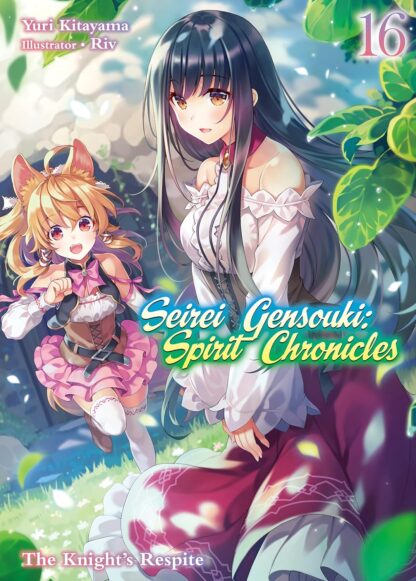 Seirei gensouki spirit chronicles vol.16 Light Novel old photo