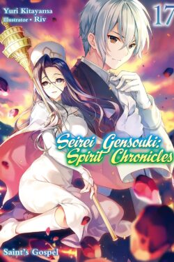 Seirei gensouki spirit chronicles vol.17 Light Novel old photo