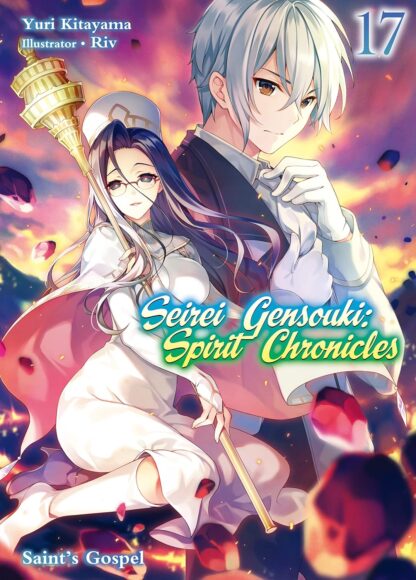 Seirei gensouki spirit chronicles vol.17 Light Novel old photo