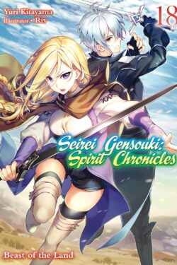Seirei gensouki spirit chronicles vol.18 Light Novel old photo