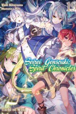 Seirei gensouki spirit chronicles vol.19 Light Novel old photo