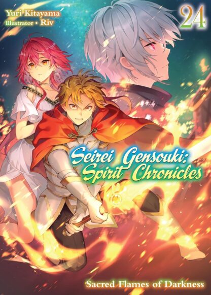 Seirei gensouki spirit chronicles vol.24 Light Novel old photo