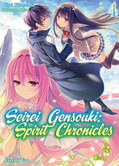 Seirei gensouki spirit chronicles vol.4 Light Novel old photo