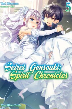 Seirei gensouki spirit chronicles vol.5 Light Novel old photo