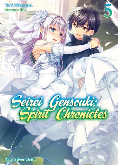 Seirei gensouki spirit chronicles vol.5 Light Novel old photo