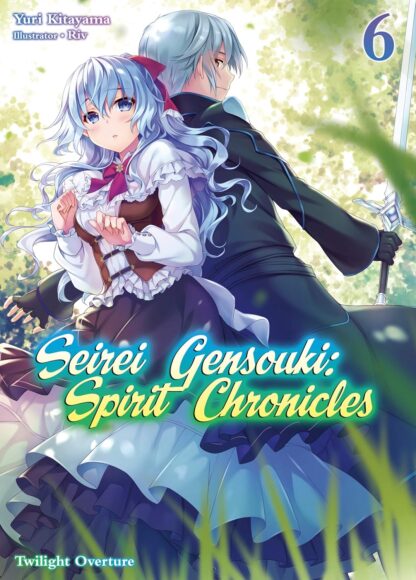 Seirei gensouki spirit chronicles vol.6 Light Novel old photo