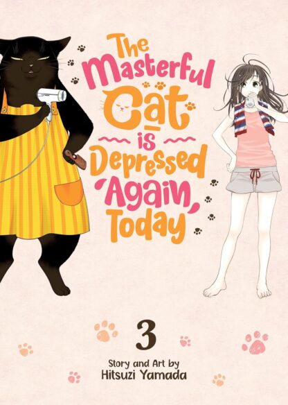 The masterful cat is depressed again, today vol.3 English version manga old photo