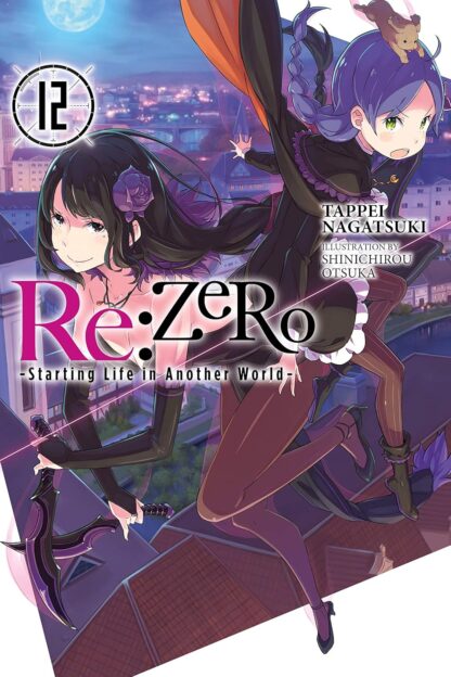 Re:ZERO -Starting Life in Another World Vol.12 Light Novel old photo