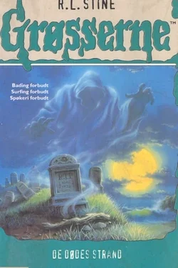 Ghost Beach by R.L. Stine (Goosebumps)