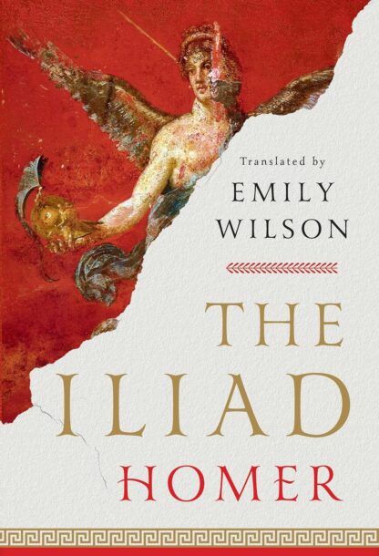 The Iliad by Homer translated  by Emily wilson