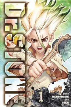 Dr. STONE, Vol. 1 old photo