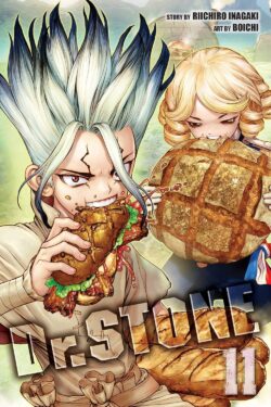 Dr. STONE, Vol. 11 old photo