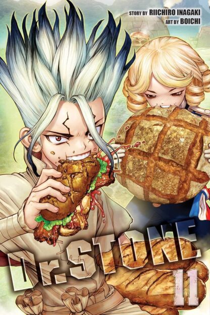 Dr. STONE, Vol. 11 old photo