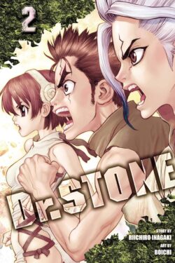Dr. STONE, Vol. 2 old photo