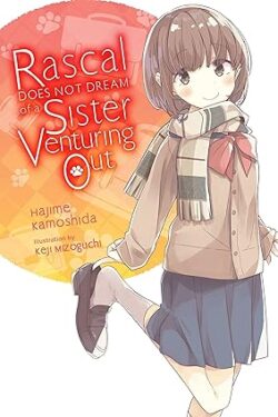 Rascal Does Not Dream of a Sister Venturing Out Light Novel