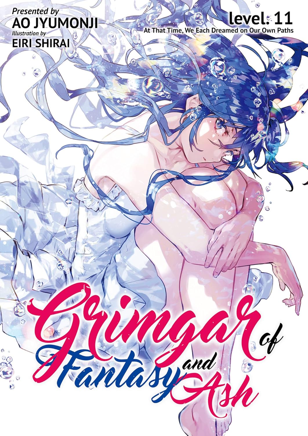 Grimgar of Fantasy and Ash Vol.11 English Version Light Novel