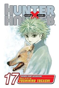 hunter x hunter vol.17 english version manga