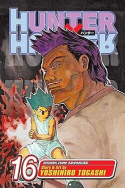 hunter x hunter vol.16 english version manga