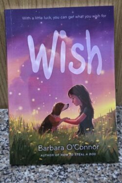 Wish by barbara o'connor