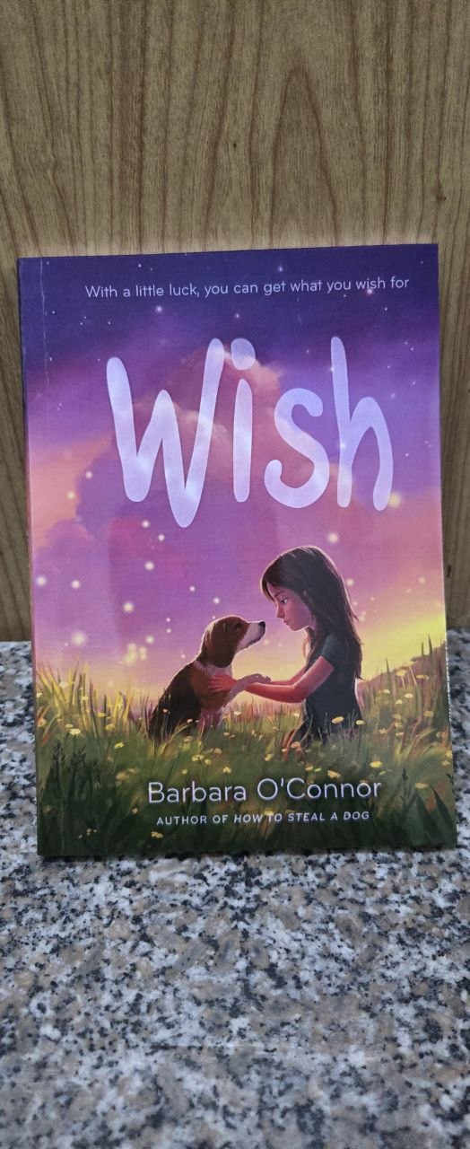 Wish by barbara o'connor