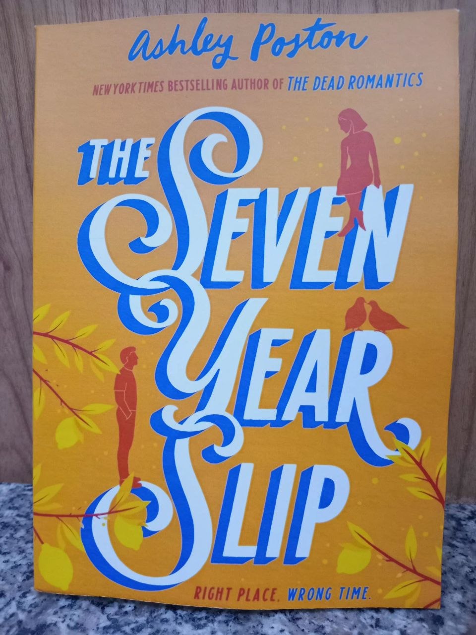 The Seven Year Slip by Ashley Poston